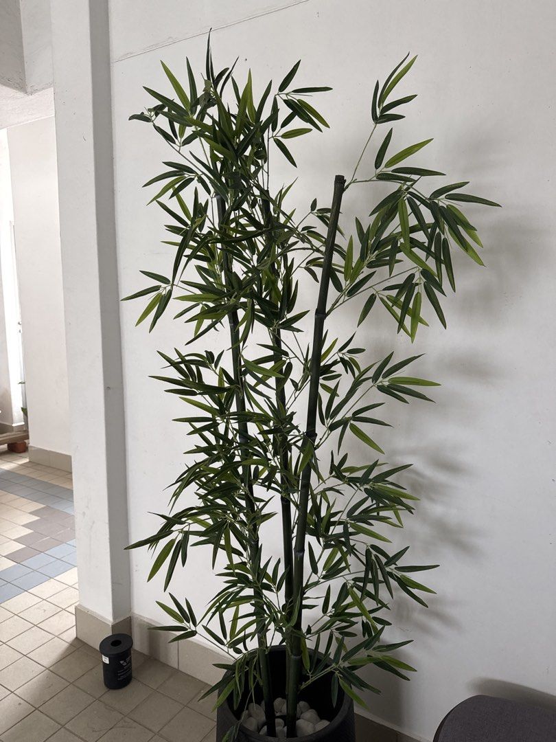 Artificial Bamboo Plant in Pot, Furniture & Home Living, Home Decor ...