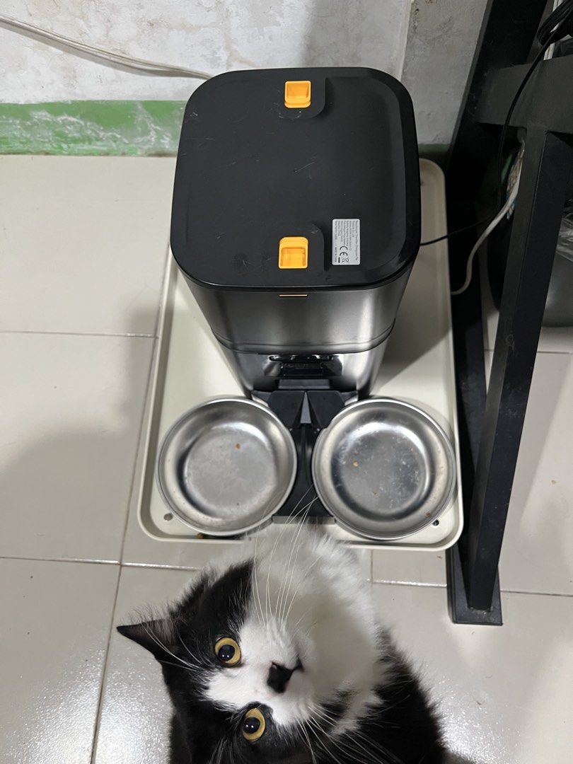 Automatic Pet Feeder 2-Bowl with Camera (Category: Homes & Other Pet Accessories) located in Caloocan City. Submitted by 4sayonara (Listing ID 1470208220, Image 3). Description: FOR SALE: Automatic Pet Feeder 2-Bowl with Camera Main issue: Lag yung video. All in all goods siya except the camera. Pwede mag set ng feed plan. See attached photo using the app 💸2,500 bought last August 2026 📍Pureza, Sta. Mesa Sampaloc RFS: Upgrade.