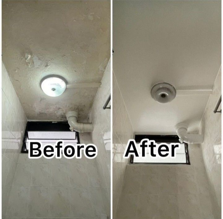 Scratch Doctor Instruments Ceiling repair/touch up plaster/putty patch up/scratch remove/bedroom ...