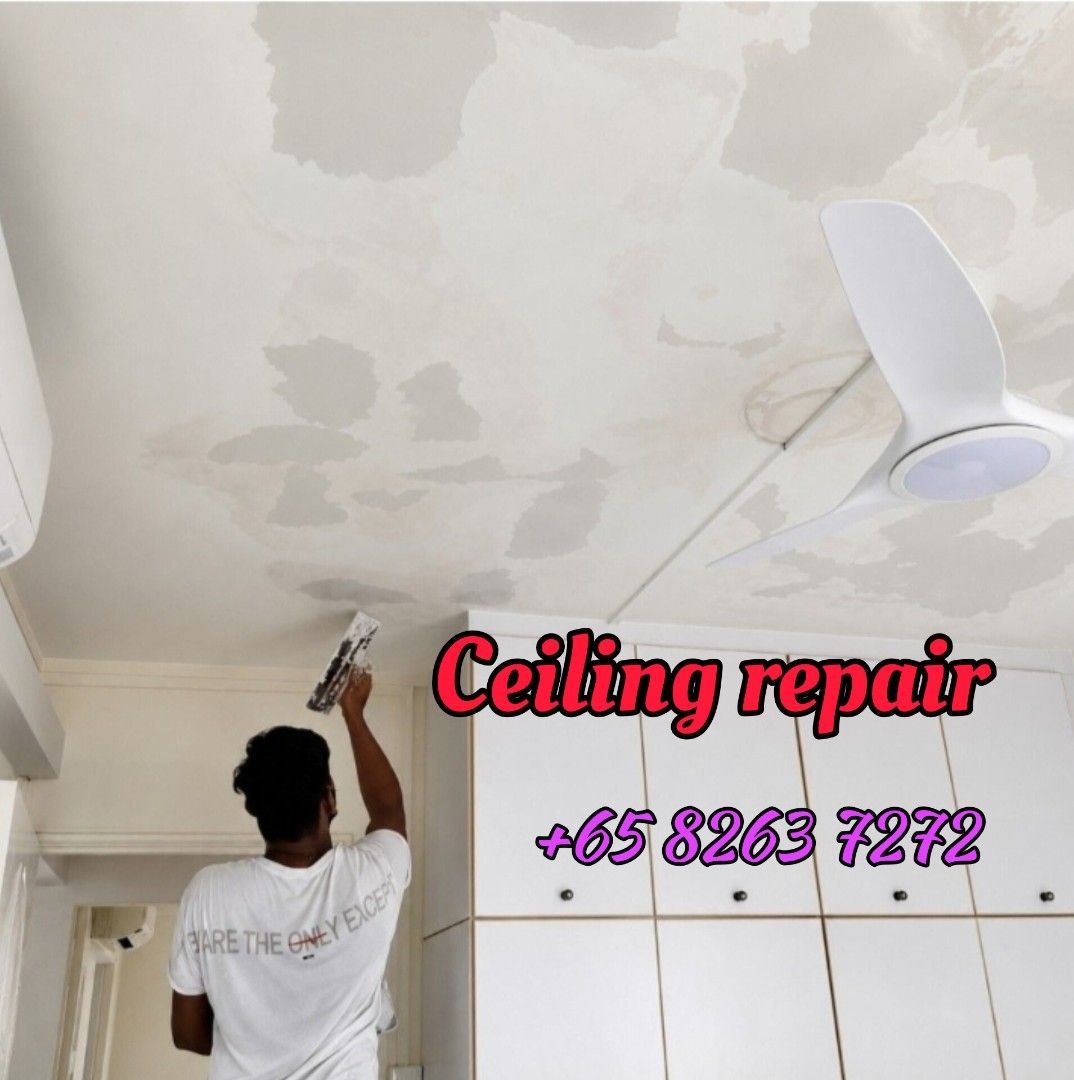 Scratch Doctor Instruments Ceiling repair/touch up plaster/putty patch up/scratch remove/bedroom ...