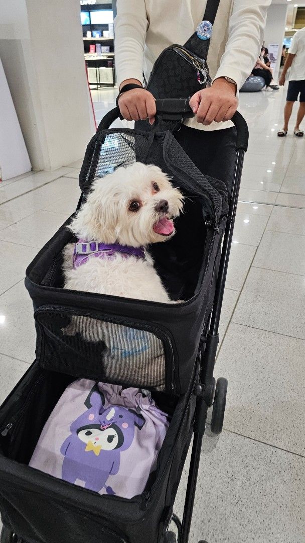 Double Decker Black Pet Stroller with Mesh Compartments (Category: Strollers) located in Rizal. Submitted by declutterthingswithme (Listing ID 1470194969, Image 3). Description: - Double-tier design in classic black with a sturdy solid frame - Breathable mesh windows on both levels for optimal airflow and visibility - Comfortable padded handle grip for easy pushing - Smooth-rolling wheels on all four corners for a stable ride - Includes a cute pu