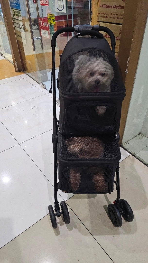 Double Decker Black Pet Stroller with Mesh Compartments (Category: Strollers) located in Rizal. Submitted by declutterthingswithme (Listing ID 1470194969, Image 2). Description: - Double-tier design in classic black with a sturdy solid frame - Breathable mesh windows on both levels for optimal airflow and visibility - Comfortable padded handle grip for easy pushing - Smooth-rolling wheels on all four corners for a stable ride - Includes a cute pu
