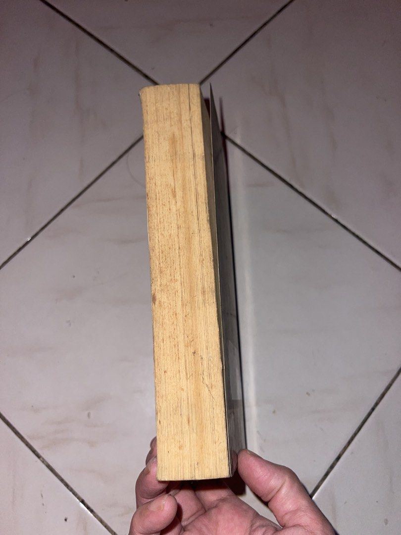 Extraordinary by Nancy Werlin (Category: Storybooks) located in Manila. Submitted by radvelarde (Listing ID 1470218642, Image 3). Description: .