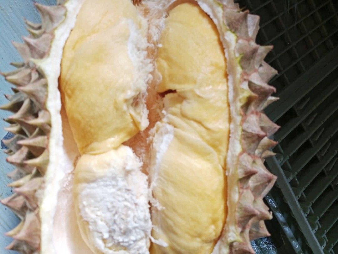 Fresh Whole Durian (Category: Fresh Produce) located in Pagadian. Submitted by bloombasket (Listing ID 1470207363, Image 3). Description: THE KING OF FRUITS HAS ARRIVED! Rich, creamy, and sweet perfection. Skip the market hassle and get 100% Tree-Ripened Fresh Whole Durians delivered right to your doorstep Pricing & Details: Price: ₱200 per kg Average Weight : [2.0 kg – 3.5 kg] per whole fruit We’ll weigh your fruit and send a photo before sealin
