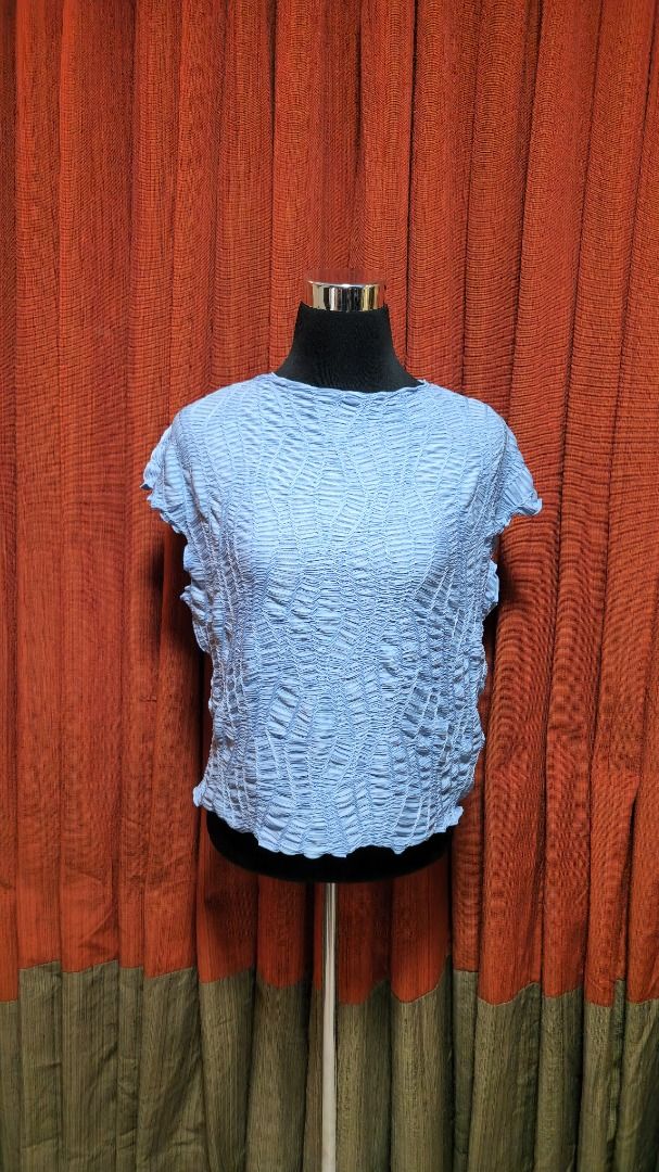 H&M Light Blue Textured Crinkle Top (Category: Blouses) located in Caloocan City. Submitted by mocs.stash (Listing ID 1470198296, Image 2). Description: H&M Light Blue Textured Crinkle Top Selling for ₱300 (SRP: ~₱999) Brand: H&M Size: Large on tag (Fits up to XL) Condition: Brand new / Unused Price: ₱300 Shipping & Location Details: Location: Caloocan Shipping Fee: Paid by buyer Couriers: Grab Express, Lalamove, GoGo Xpress (GGX), or LBC Send a 