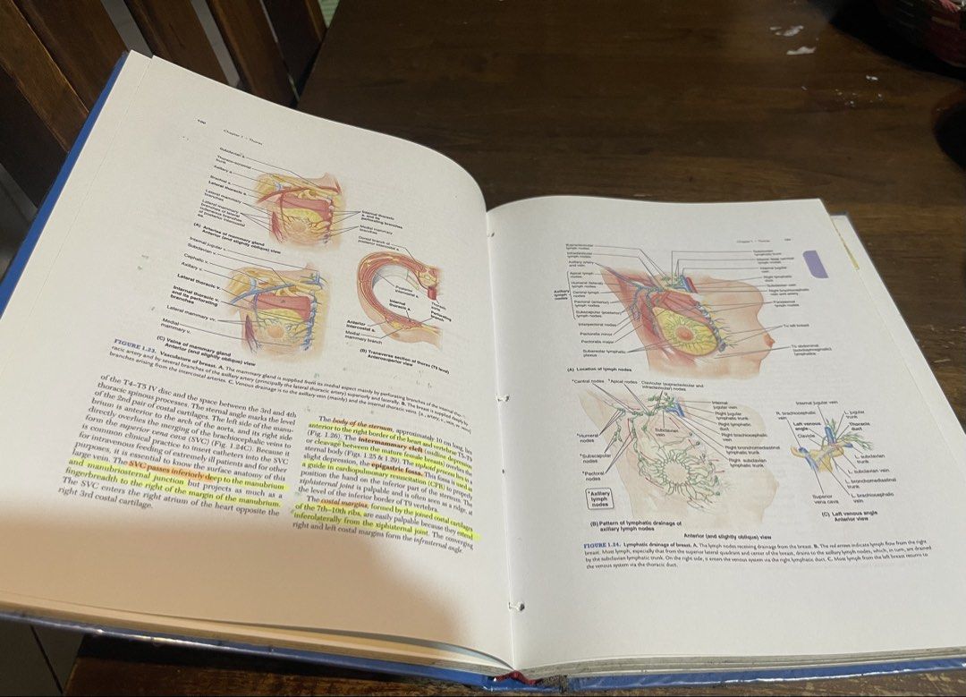 Moore Clinically Oriented Anatomy 7th ed (Category: Textbooks) located in Manila. Submitted by radvelarde (Listing ID 1470256203, Image 2). Description: Binding Hardbound.