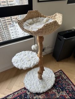 （分類：）位於 。 由 tiffincwb 提交（商品編號 1470153151，圖片 1）。簡介： 。