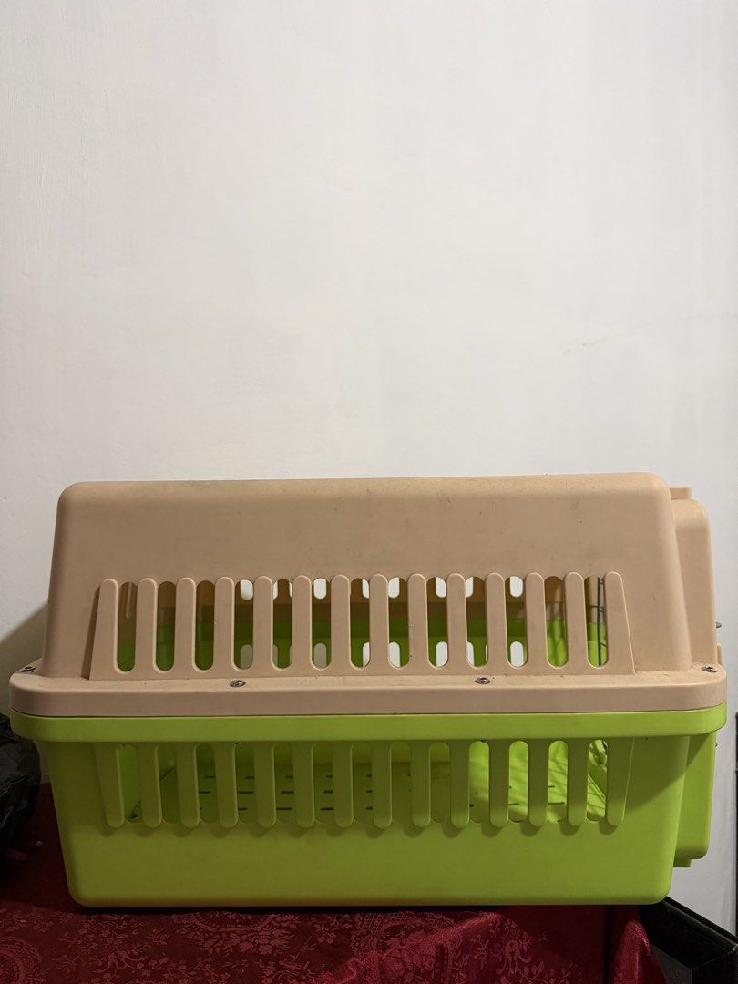 Plastic Pet Carrier Cage with Wire Door (Category: Storage Boxes & Baskets) located in Legazpi City. Submitted by hapie_haus (Listing ID 1470279638, Image 3). Description: - Color: Green and beige - Material: Sturdy plastic with metal wire door - Security: Easy-open door with secure plastic latch - Ideal For: Cats and small dogs .