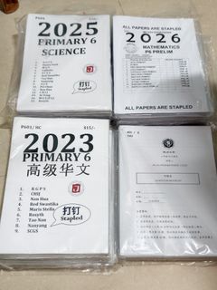 2024 Primary 4 Normal Chinese Exam Papers Jack Paper, Hobbies ...