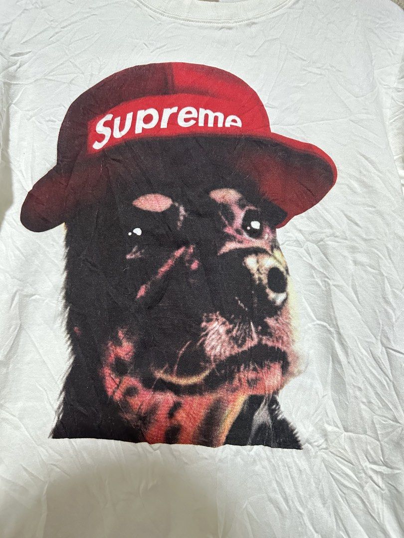 Supreme white cotton shirt (Category: Tshirts & Polo Shirts ) located in Ozamiz City. Submitted by quick_done_deals (Listing ID 1470192229, Image 2). Description: 💯 Excellent Condition 📐 Dimes: L26xW19 (S) 🔍 Issue: None 🎨 Color Rate: 9.5 / 10.
