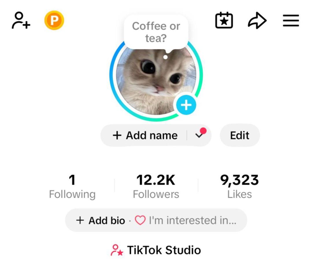 Tiktok Account for Sale (Category: Announcements) located in Cabanatuan. Submitted by raialavienchy (Listing ID 1470335652, Image 1). Description: tiktok account for sale! 🐰12.2k ffs, 9.3k likes – rejected shop ‌‎– pure gained / organic followers ‎– can live ‎– ph based ‎– can change all – clean bind, can bind now ‎ ‎dm: raialavienchy here or on tel3gram.