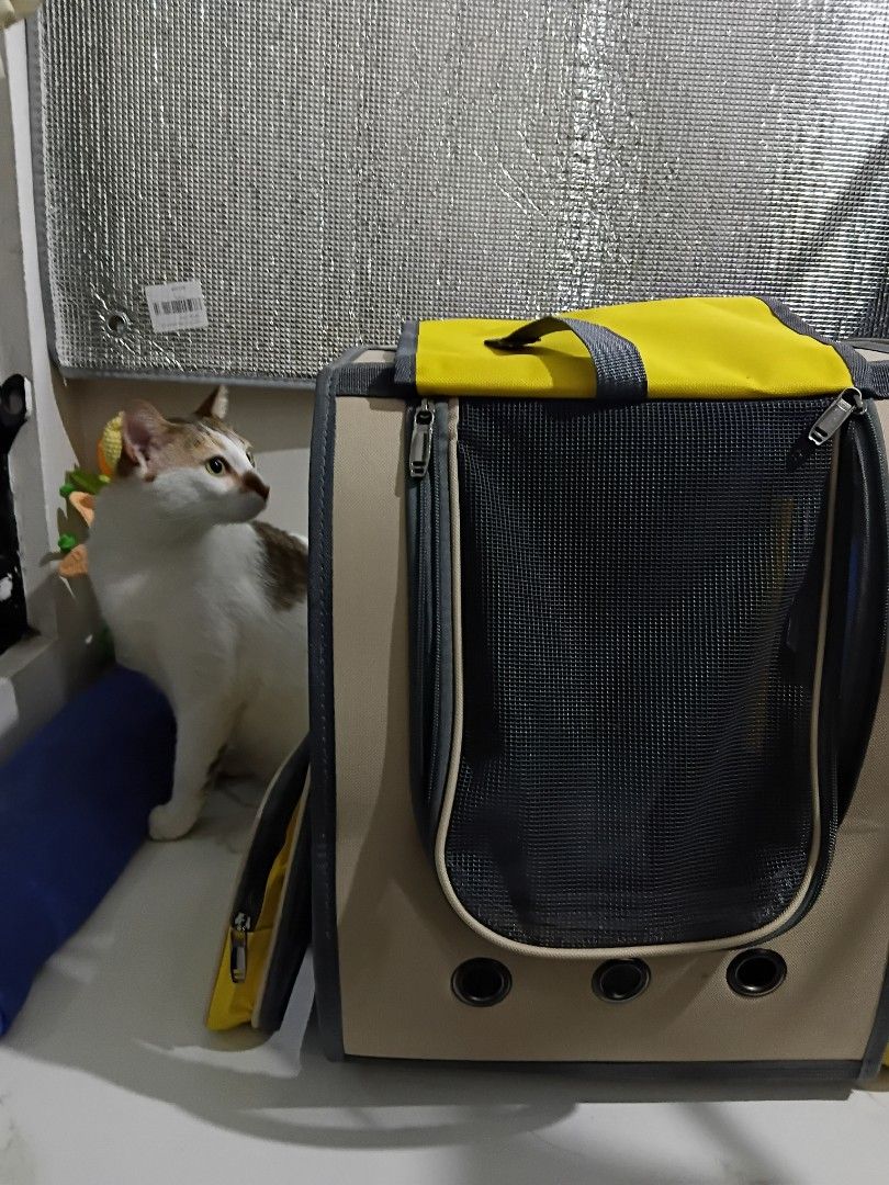 Upaw Pet Carrier Backpack Yellow XL (Category: Backpacks) located in Mandaluyong City. Submitted by cheshireshoppe (Listing ID 1470100942, Image 3). Description: More photos available upon request - Brand/Model: Upaw Pet Carrier Backpack XL - Colorway: Stylish khaki with bright yellow accents - Dual-Purpose Front: Solid yellow privacy panel that rolls up to reveal a breathable mesh window - Ventilation: 3 metal grommets near the base for steady a