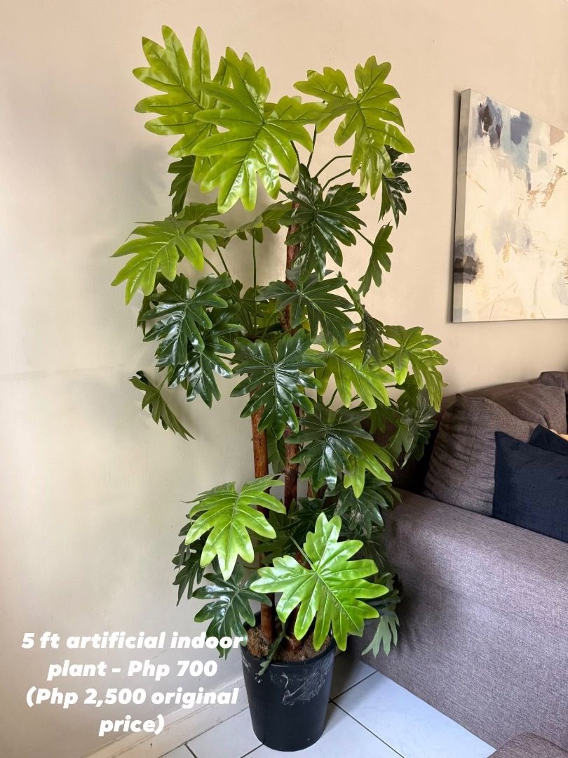 5 feet artificial indoor plant (Category: Artificial Plants & Flowers) located in Cainta. Submitted by yoshikeiko (Listing ID 1470401580, Image 1). Description: 🌿 FOR SALE: 5FT ARTIFICIAL INDOOR PLANT Selling Price: ₱700 only! Original Purchase Price: ₱2,500 Selling our preloved 5ft artificial indoor plant, perfect for adding a fresh, tropical touch to your home without the maintenance of a real plant. ✨ Details: Approximately 5 feet tall Lush, 