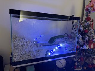 (Category: ) located in . Submitted by qfayeeeee (Listing ID 1470372060, Image 1). Description: .