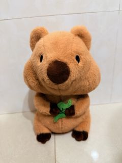 （分類：）位於 。 由 kevin.664 提交（商品編號 1470531342，圖片 1）。簡介： 。