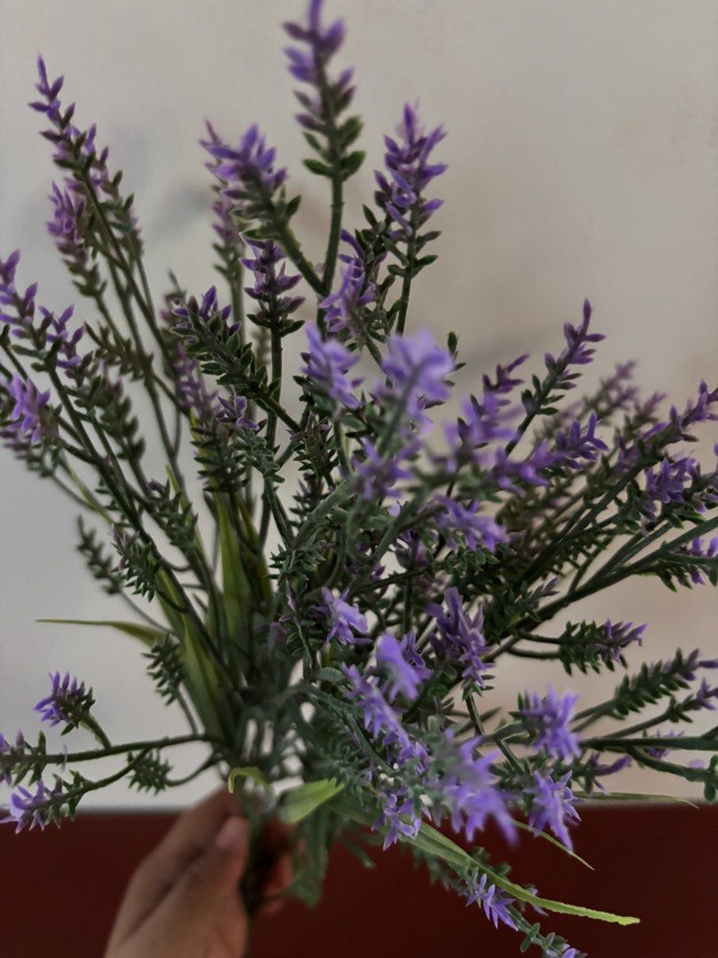Artificial Purple Lavender Bush (Category: Artificial Plants & Flowers) located in Cavite. Submitted by nanangonlineshop (Listing ID 1470444319, Image 2). Description: 📌 Artificial Purple Lavender Bush 🏷️ P25 ⚠️ POLICY: ❌ NO COD ✅ AS IS, WHERE IS ✅ FIRST PAY BASIS ✅ MINE NOW, PAY NOW ✅ 3-DAYS HOLD ONLY. UNPAID RESERVATIONS ARE VOIDED. 📍 Location: Cavite 👉 WE SHIP NATIONWIDE (LUZON, VISAYAS & MINDANAO) ✅ MOP: Bank Transfer (BPI) & GCash ✅ Ship