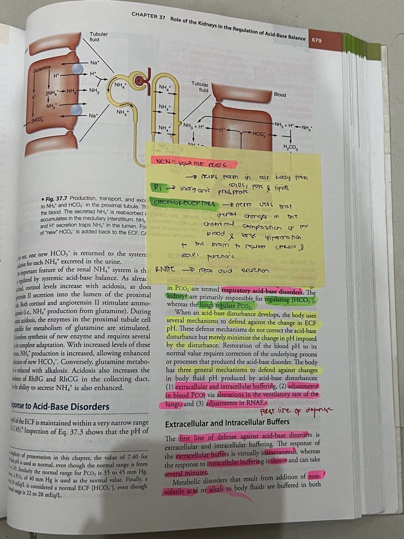 Berne & Levy Physiology Seventh Edition International Edition (Category: Textbooks) located in Pateros City. Submitted by tatafinds (Listing ID 1470541802, Image 1). Description: Berne & Levy Physiology, 7th Edition (International Edition) Condition: Preloved, good condition 🏷️ Price: 599 🧾 RFS: Decluttering 🚕 Shipping via Lalamove ‼️ PAYMENT FIRST ‼️ 📌 Location: Metro Manila pm to order !.