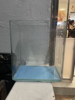 Used glass/ acrylic betta tanks, Pet Supplies, Homes & Other Pet ...