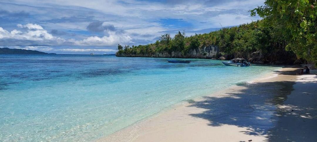 For Sale Prime Beach Front at Dumatad Tangalan Aklan, Property, For ...