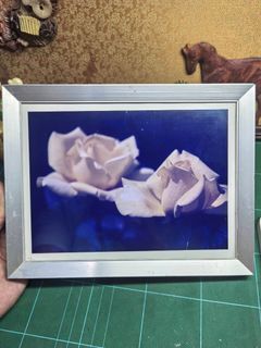 (Category: ) located in . Submitted by dudes_villanueva (Listing ID 1470397501, Image 1). Description: .
