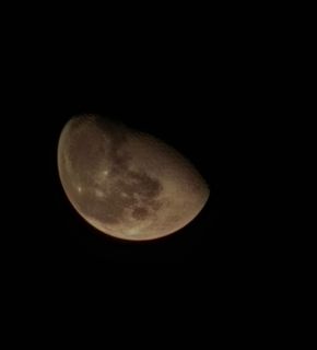 （分類：）位於 。 由 dogdog168863624 提交（商品編號 1470362702，圖片 1）。簡介： 。