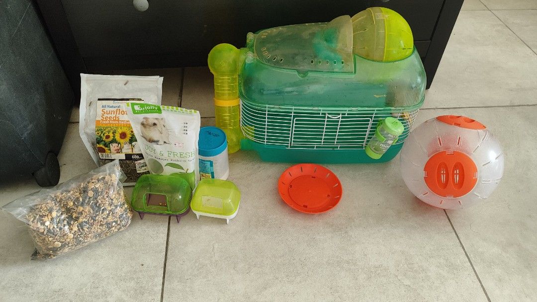 Green Hamster Cage with Exercise Ball and Accessories, Everything Else ...