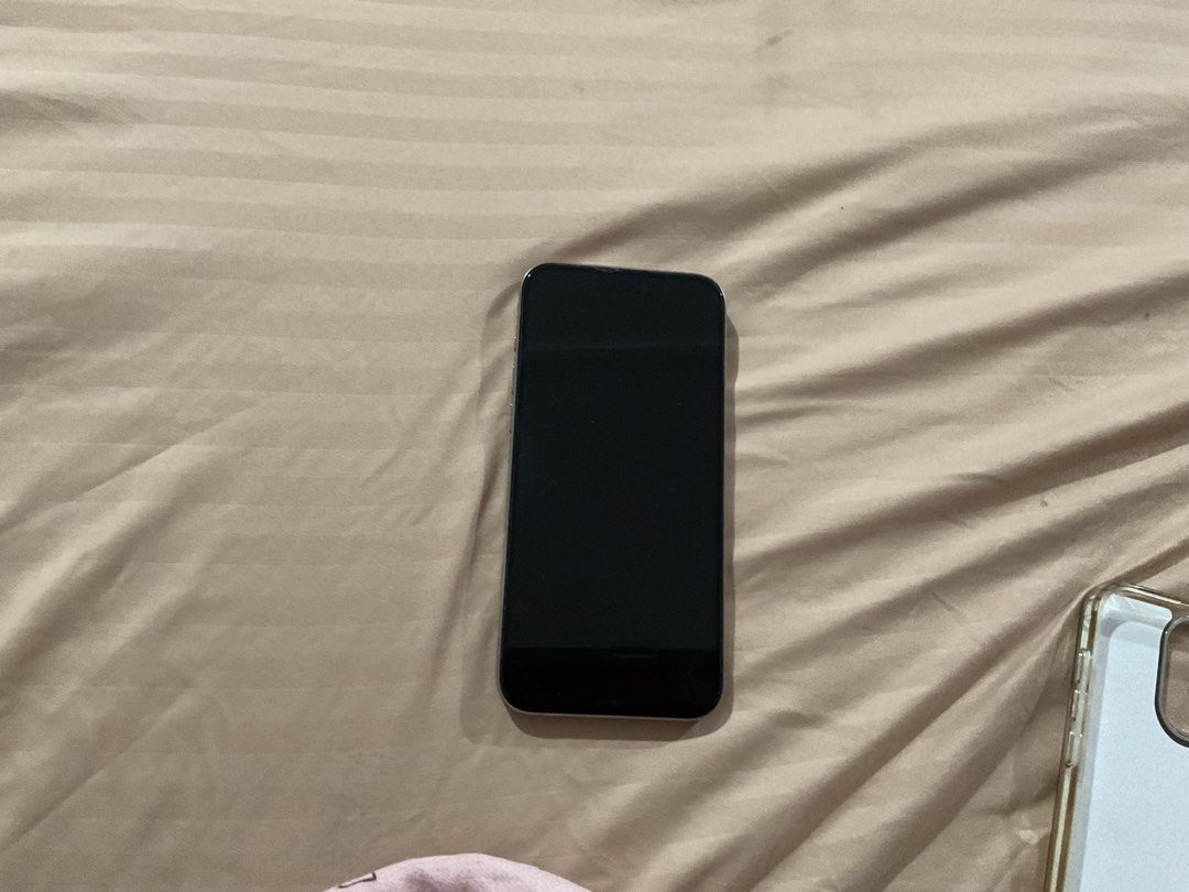 Iphone 15 Pro max (Category: iPhone 15 Series) located in Manila. Submitted by caicrafts (Listing ID 1470461898, Image 1). Description: Dual e-sim (US bought) 80% battery health No issues at all Lady owned With Box, original charging wire RFS: Upgrade .