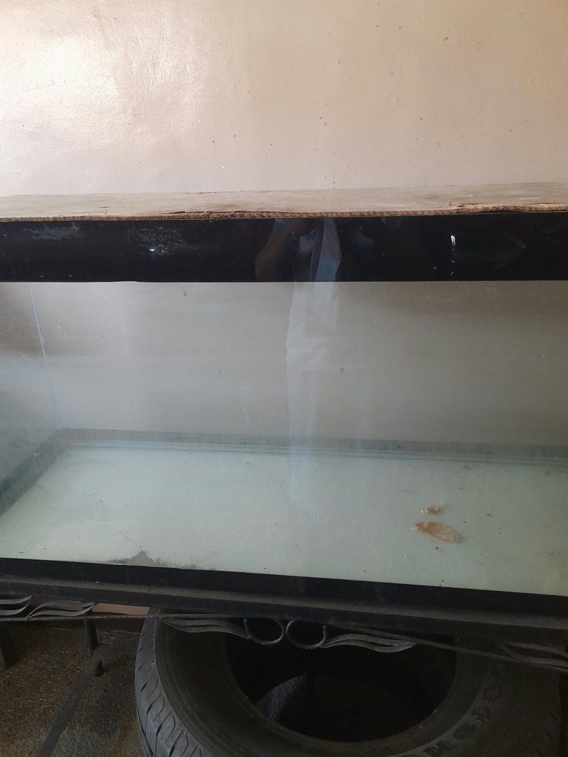 Large Glass Aquarium Fish Tank (Category: Fishing) located in Manila. Submitted by nplooma (Listing ID 1470523909, Image 1). Description: - Large rectangular glass fish tank - Classic black trim edges - Includes sturdy metal stand - Ideal for freshwater or saltwater aquariums - 48in l x 18in w x 22in h.