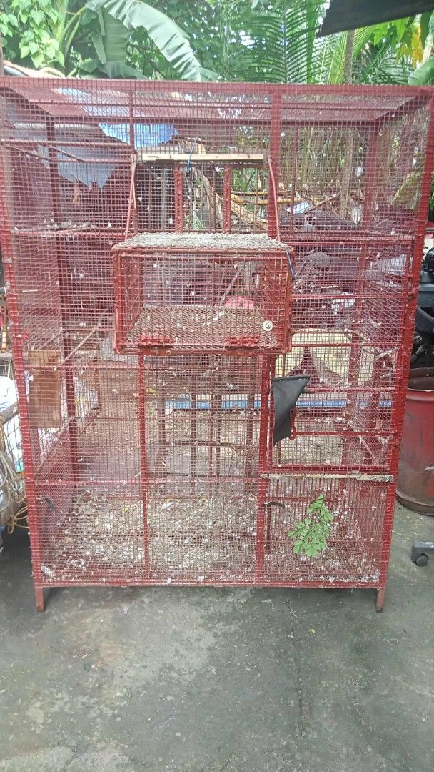 Large red wire bird cage with multiple levels (Category: Home Improvement Tools & Accessories) located in Manila. Submitted by wisegem-231b (Listing ID 1470399804, Image 1). Description: - Large red wire bird cage with a solid metal frame - Multi-tier layout with built-in perches included - Spacious size, perfect for housing multiple birds or small pets - Condition: Needs a quick wipe down before use - Pick up only due to the size of the item.