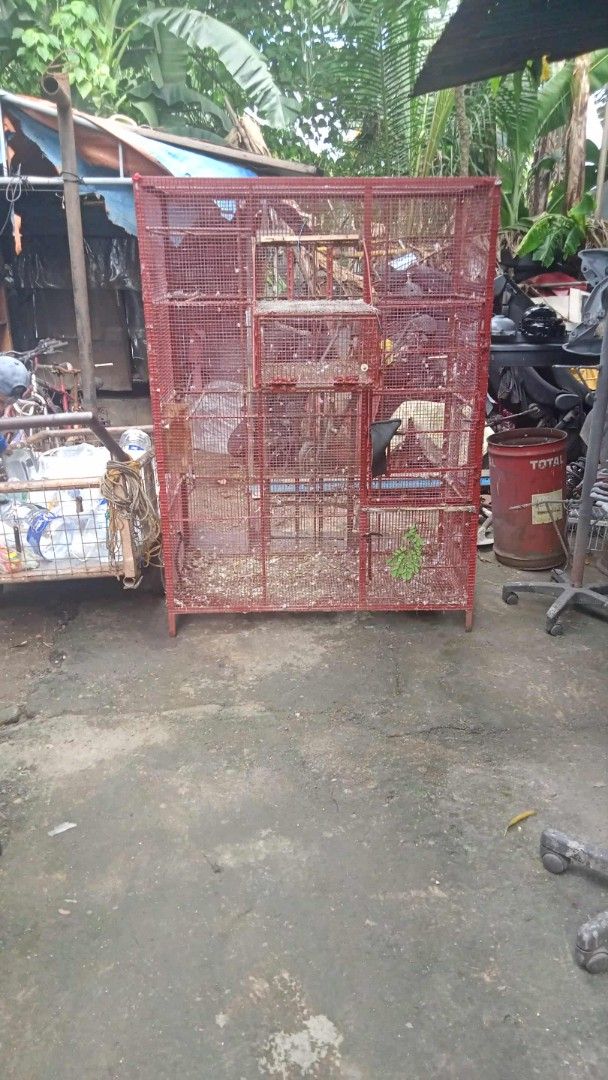 Large red wire bird cage with multiple levels (Category: Home Improvement Tools & Accessories) located in Manila. Submitted by wisegem-231b (Listing ID 1470399804, Image 2). Description: - Large red wire bird cage with a solid metal frame - Multi-tier layout with built-in perches included - Spacious size, perfect for housing multiple birds or small pets - Condition: Needs a quick wipe down before use - Pick up only due to the size of the item.