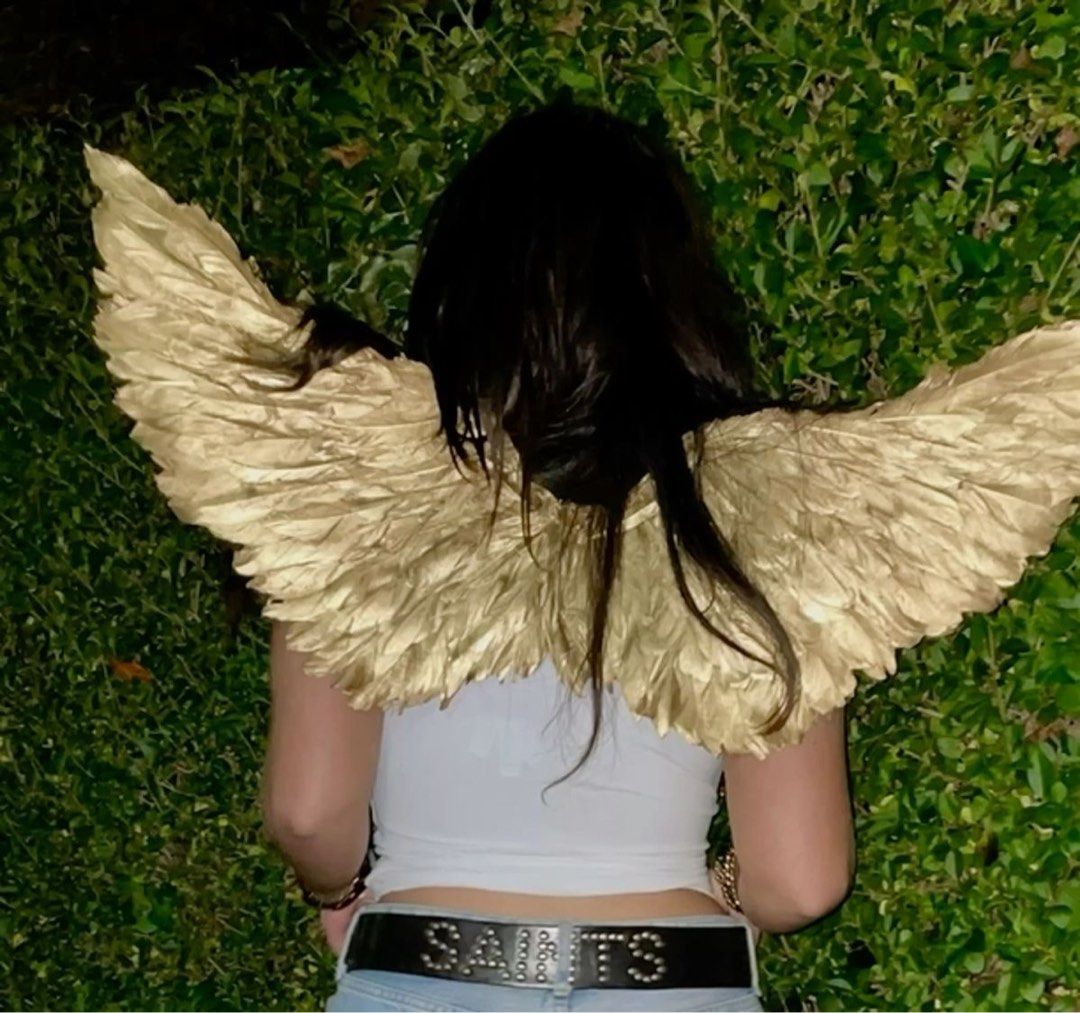 LF GOLD WINGS (Category: Looking For) located in Quezon City. Submitted by dope.on.a.rope (Listing ID 1470483082, Image 2). Description: Need by oct 29 2026! Same day delivery preferred will shoulder sf 🙏🏻🙏🏻 Budget is 600 pesos Helping tags: felix catton halloween saltburn gold angel wings gold feather wings felix saltburn oliver saltburn.
