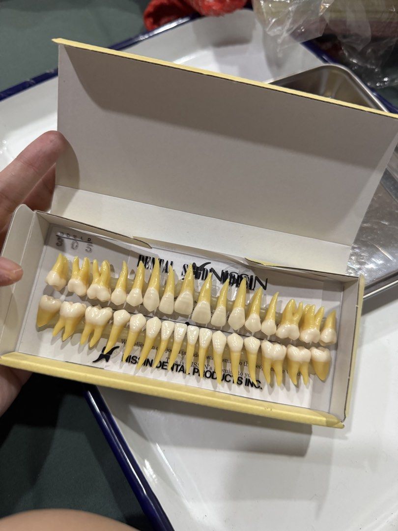 Nissin B3-305(32S) Teeth Set (Category: Medical Supplies & Tools) located in Las Pinas. Submitted by residentsm (Listing ID 1470370842, Image 2). Description: Nissin B3-305(32S) dental teeth set, mould 305. Complete set in original yellow box, clean and complete with clear serial number and barcode..