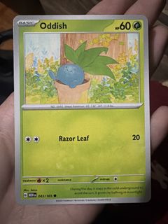 (Category: ) located in . Submitted by bananak1tchen (Listing ID 1470505369, Image 1). Description: .