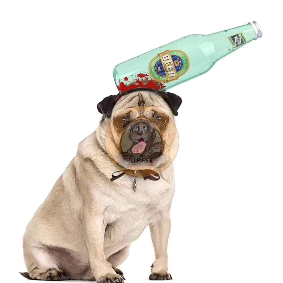 Pet Halloween Headband Costume (Category: Homes & Other Pet Accessories) located in Manila. Submitted by queeniejoy88734 (Listing ID 1470291793, Image 1). Description: Headband style halloween Tondo Binondo Manila All brand new.