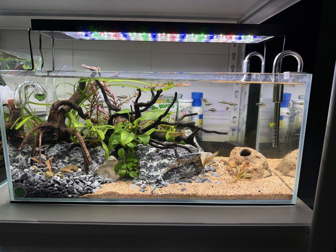 Standardize Method Smart Aquarium Light 45cm, Furniture & Home Living, Lighting & Fans ...
