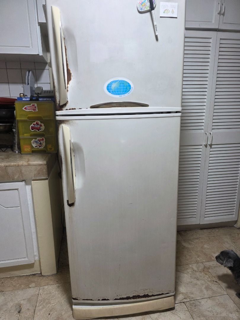 Two Door Top Freezer Refrigerator White (Category: Refrigerators and Freezers) located in Caloocan City. Submitted by clevergem.7897e2 (Listing ID 1470495425, Image 1). Description: Working white double-door fridge with top freezer and glass shelves. Clean, spacious, and perfect for apartments or extra storage. Pick up only!.
