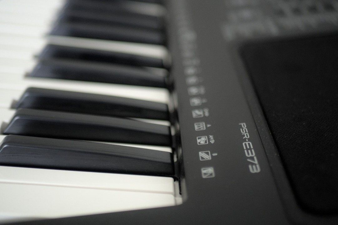 Yamaha PSR-E373 Portable Digital Keyboard with Stand, Hobbies ...