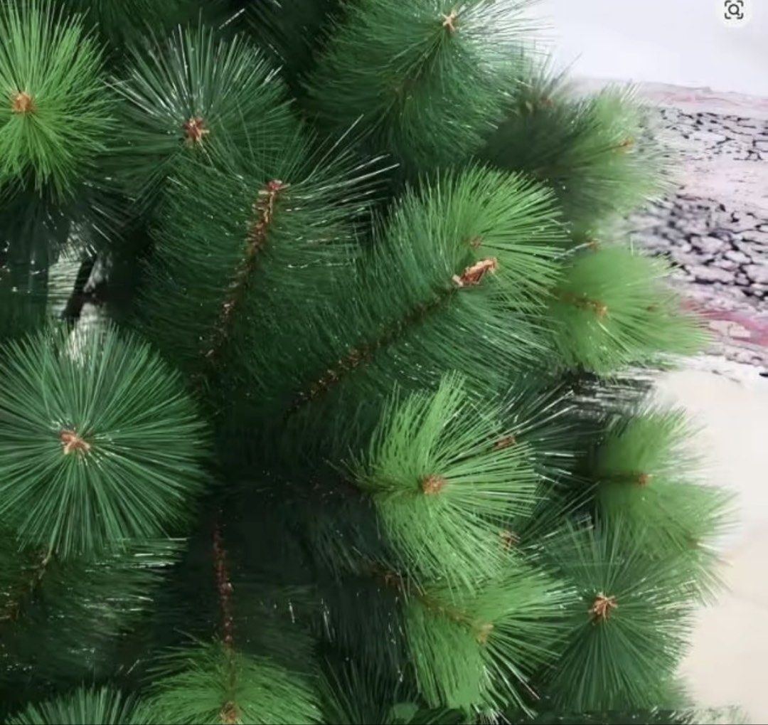 180 cm christmas tree (Category: Other Merchandise) located in Manila. Submitted by vintageaccessories (Listing ID 1470585921, Image 2). Description: .