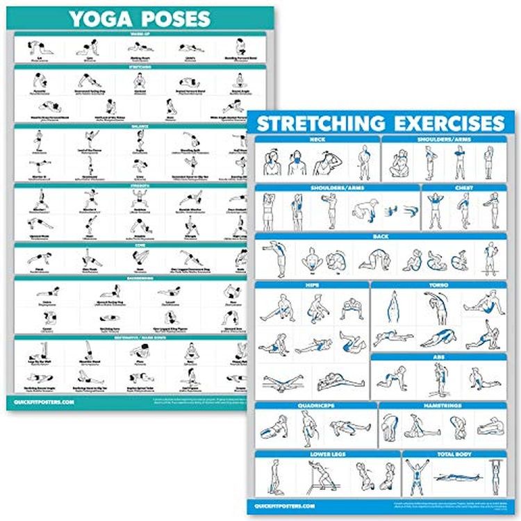Basic Exercise Position Image (46cm x 70cm , LAMINATED) - QuickFit Yoga Poses and Stretching Exercise ...