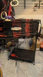 (Category: ) located in . Submitted by dellovelo (Listing ID 1470610175, Image 1). Description: .