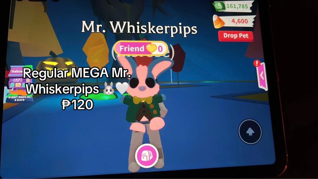Adopt Me Pets (4 Sale) (Category: In-Game Products) located in Cebu City. Submitted by mydiarie (Listing ID 1470683025, Image 3). Description: Payment first / Gcash only ! Cheapest prices out there! 🫪💘 Dm if Interested thank u !! NFR UNI - ₱100 MEGA MR WHISKERPIPS - ₱120 MEGA COCOADILE - ₱15 MEGA KID GOAT - ₱20 MEGA SHOW PONY - ₱20.