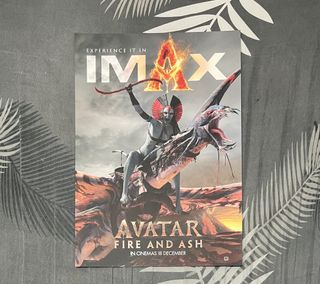 Avatar Fire and Ash Movie Posters Set of 3, Toys & Collectibles, Fan ...