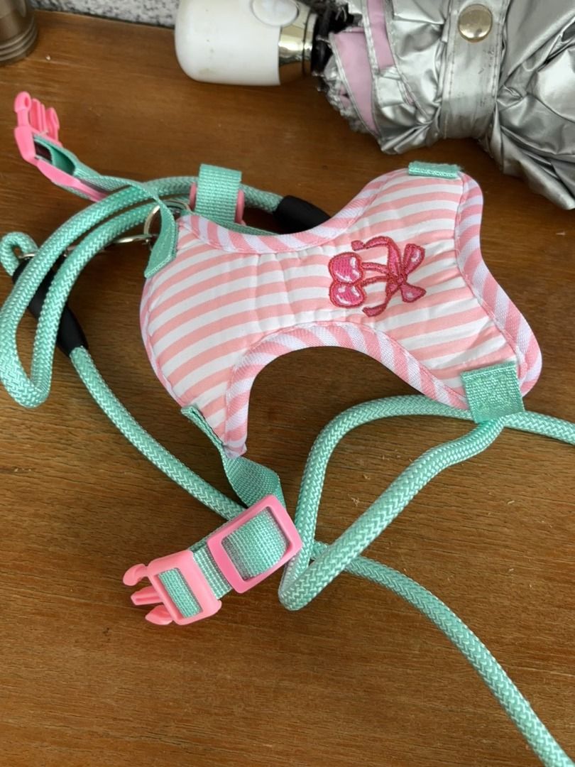 dog harness cute coquette s, m, l (Category: Homes & Other Pet Accessories) located in Angeles City. Submitted by dear_noona (Listing ID 1470674185, Image 3). Description: shipping from korea 2 weeks eta sf is only 89:).