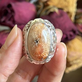 (Category: ) located in . Submitted by thealchemist888 (Listing ID 1470640106, Image 1). Description: .