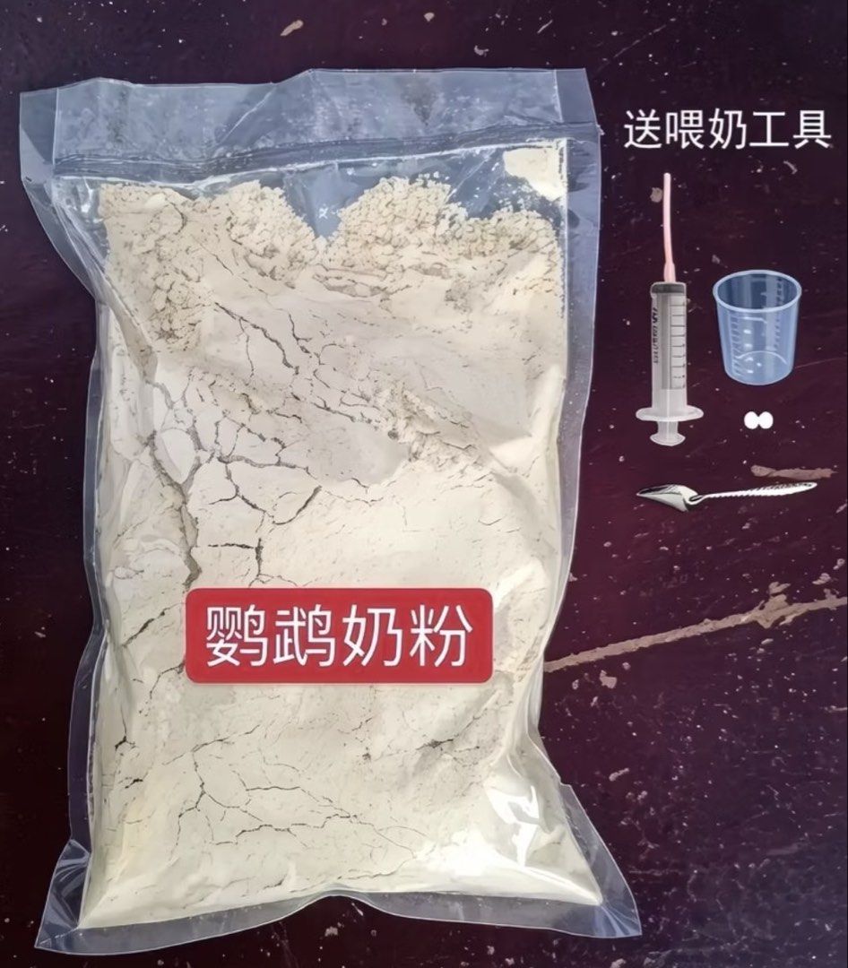 High-Nutrition Parrot Formula Baby Bird Milk Powder 500g, Babies & Kids ...