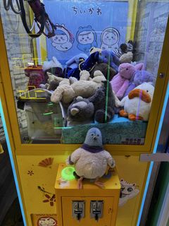 （分類：）位於 。 由 arthurkei 提交（商品編號 1470650279，圖片 1）。簡介： 。