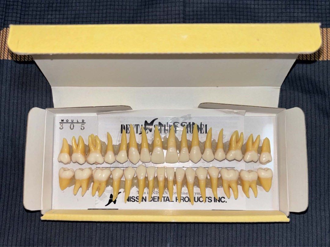 Nissin Tooth Model (Category: Stationery & School Supplies) located in Manila. Submitted by jellyblly (Listing ID 1470576675, Image 1). Description: only used for oral anatomy loc&deliver: NU MOA meet up, manila, cavite delivery.