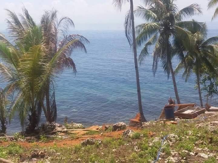 Overlooking Lot with Beach Access (Category: Lot) located in Bato. Submitted by youngmoon_36d890 (Listing ID 1470630039, Image 3). Description: 🏝️ OVERLOOKING LOT FOR SALE IN KAPUTIAN, SAMAL ISLAND! ✨ Enjoy beautiful beach views and easy access to a shared beach area! 📍 Location: Kaputian, Island Garden City of Samal 📐 Lot Area: 208 sqm — Corner Lot 🌊 Overlooking lot with a beach view 🏖️ Approximately 40 meters from the beach 🤿 Near a divin