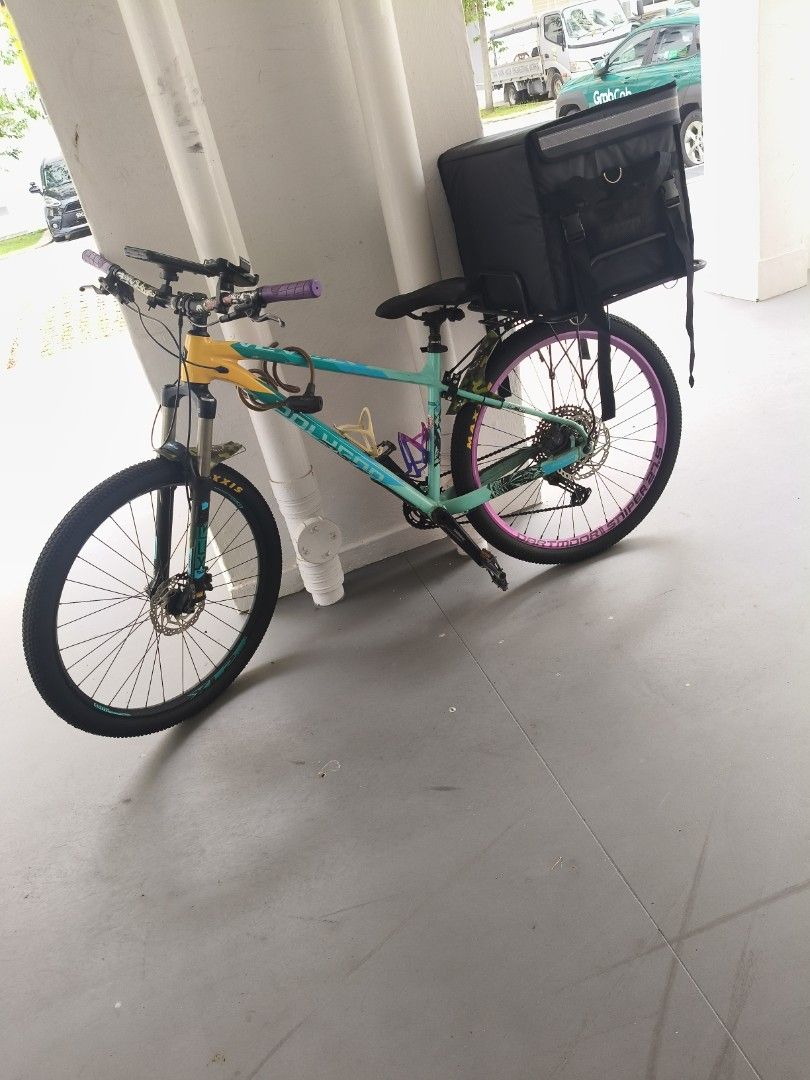 Polygon Mountain Bike with Delivery Bag, Sports Equipment, Bicycles ...