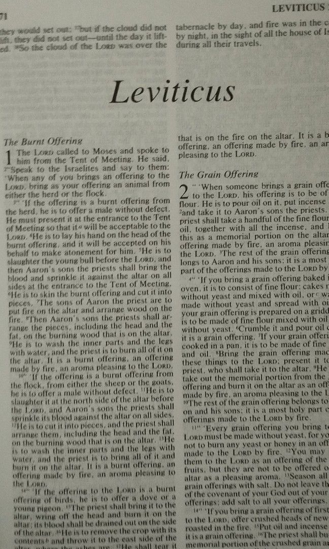 Preowned NIV Bible Copyright 1984 (Category: Religion Books) located in Orani. Submitted by shop4bibles (Listing ID 1470652973, Image 3). Description: .